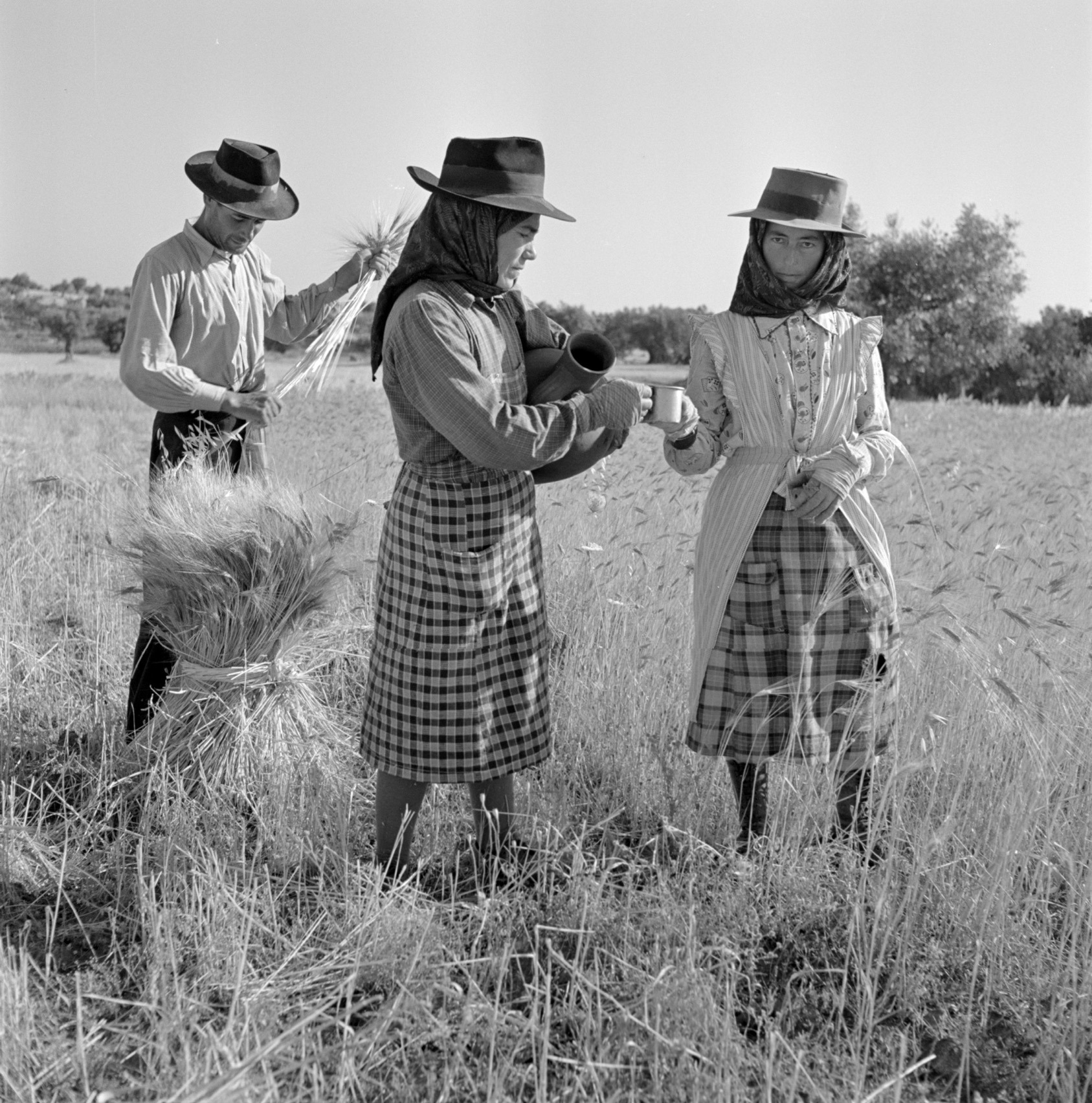 ARTUR PASTOR, ARTUR PASTOR E OS MUNDOS DO SUL, 2019